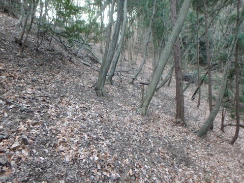 P1070140