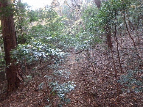 PC080319