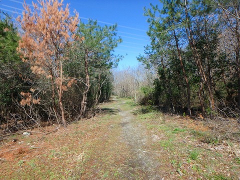 P3300061