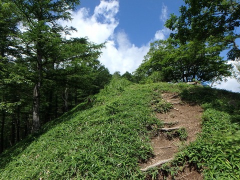 P7190058