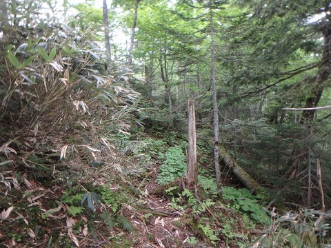 P6270394