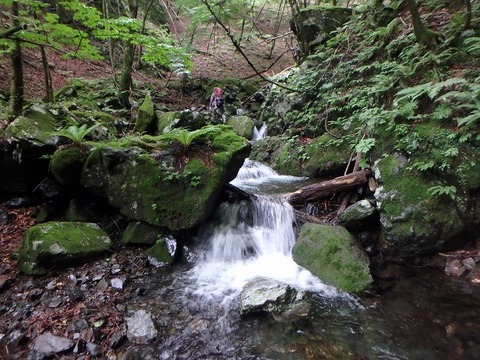 P7050186
