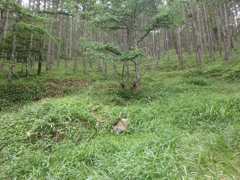 P7050246
