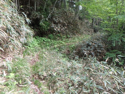 P6270446