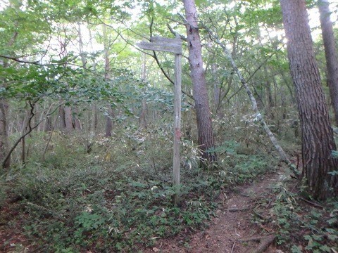 P7240034