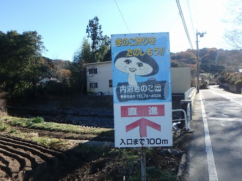 PC080215