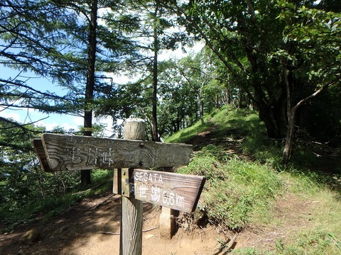 P7190018