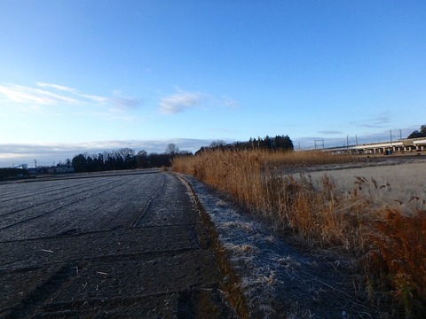 P1020021
