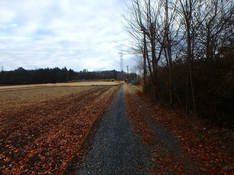 P1020046