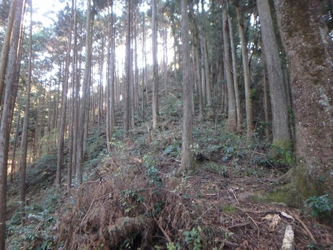 PC080150