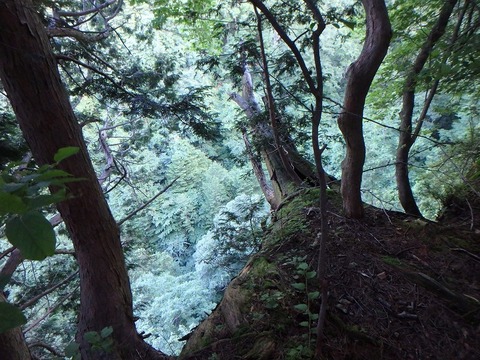 P7240036