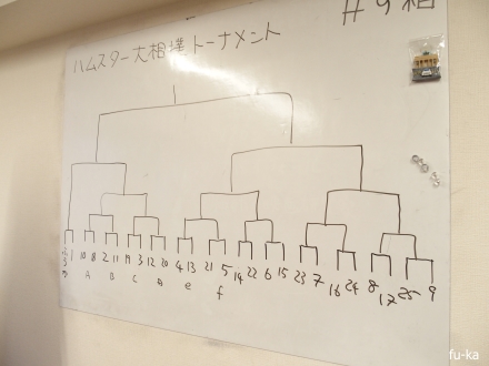 ハムスター大相撲トーナメント