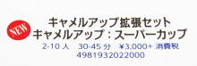 発売予定