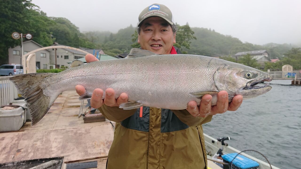 すべて 芦トロ日記 芦ノ湖レイクトローリング釣行記