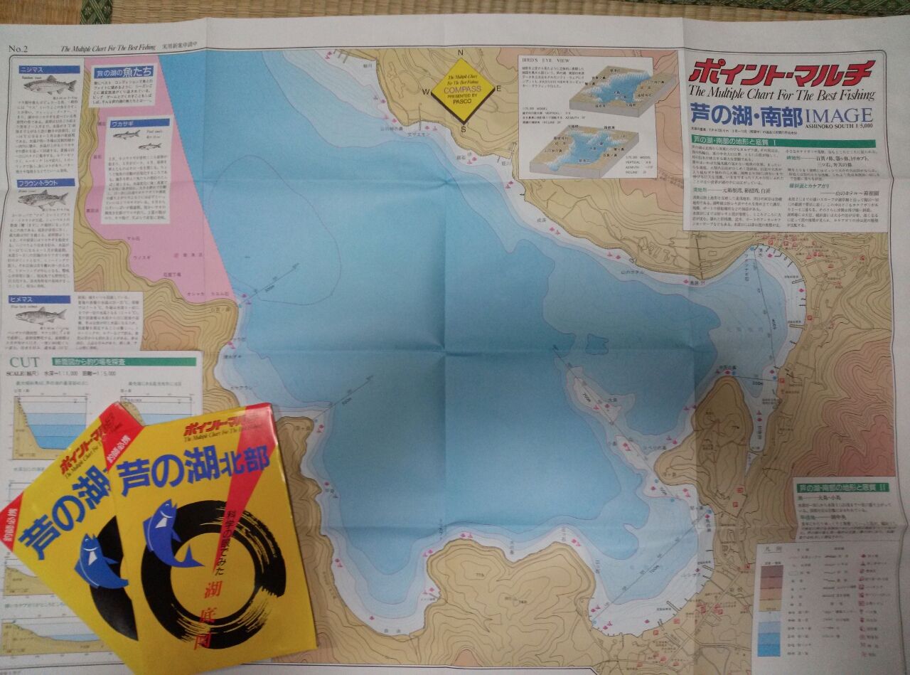ポイント マルチ 芦トロ日記 芦ノ湖レイクトローリング釣行記 ポイント マルチ 芦トロ日記 芦ノ湖レイクトローリング釣行記