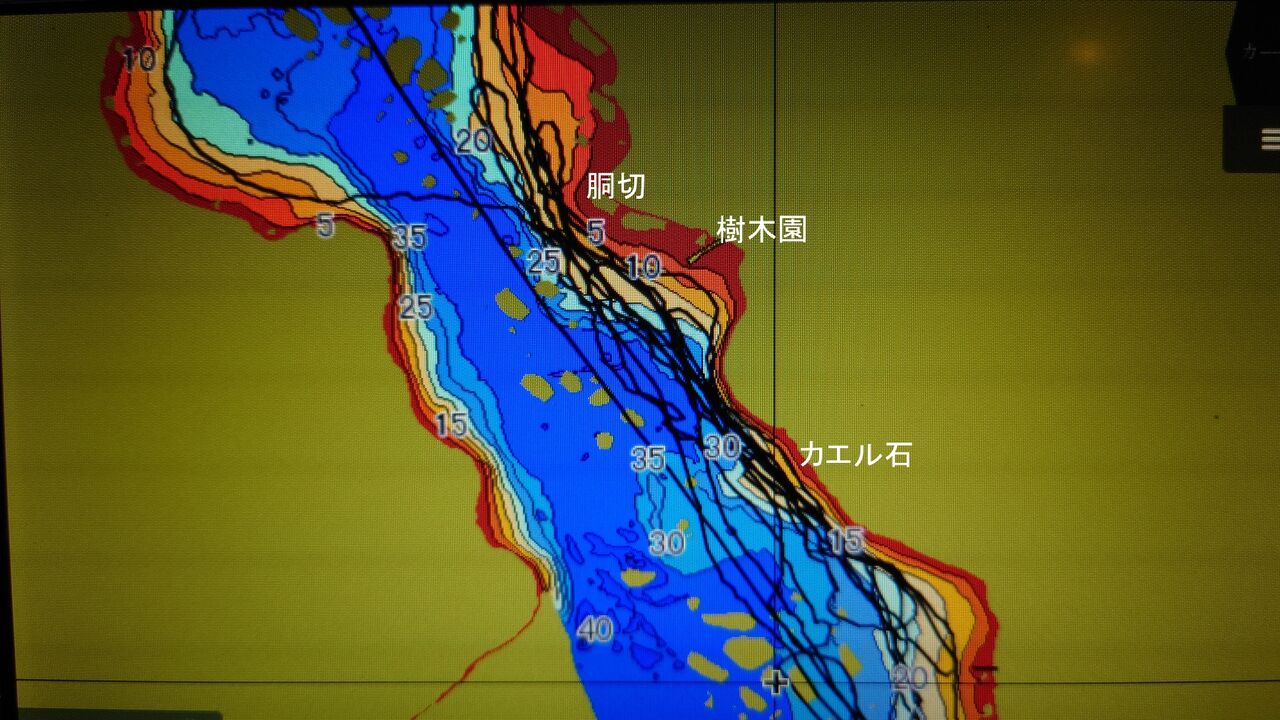 ２０２１年４月６日釣行 芦トロ日記 芦ノ湖レイクトローリング釣行記