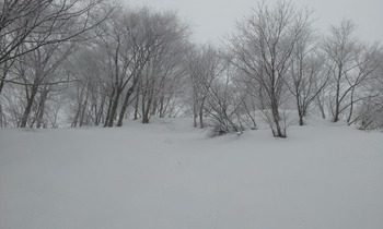20130203_095831