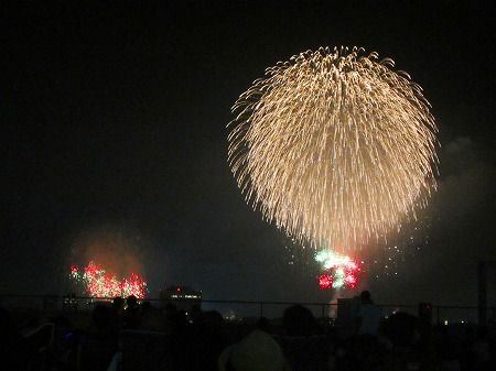 豊橋祇園祭花火大会を鑑賞してきました 豊橋市 フーちゃんのカメラウオッチング