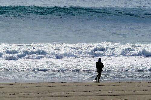 名言 格言 私は海辺で遊んでいる少年のようである フーちゃんのカメラウオッチング