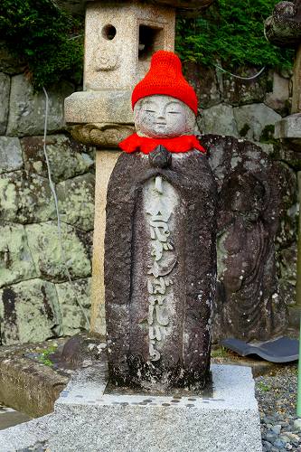 良い言葉 念ずれば花ひらく フーちゃんのカメラウオッチング 良い言葉 念ずれば花ひらく フーちゃんのカメラウオッチング