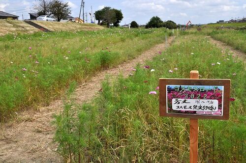 22年10月 フーちゃんのカメラウオッチング