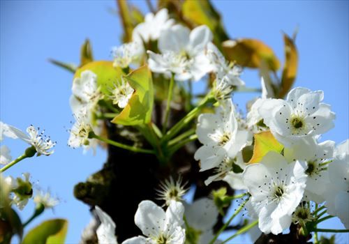 Livedoor Blogimg Jp Fuchan12 Imgs 7 A 7abf7aae Jpg