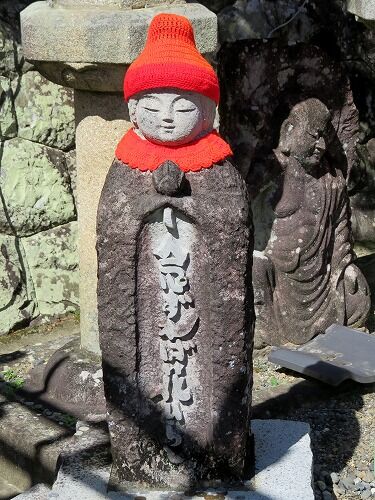 21年07月 フーちゃんのカメラウオッチング