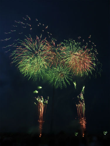 花火 フーちゃんのカメラウオッチング