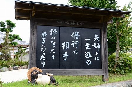 良い言葉 夫婦とは 師になったり 弟子になったり フーちゃんのカメラウオッチング 良い言葉 夫婦とは 師になったり 弟子になったり フーちゃんのカメラウオッチング
