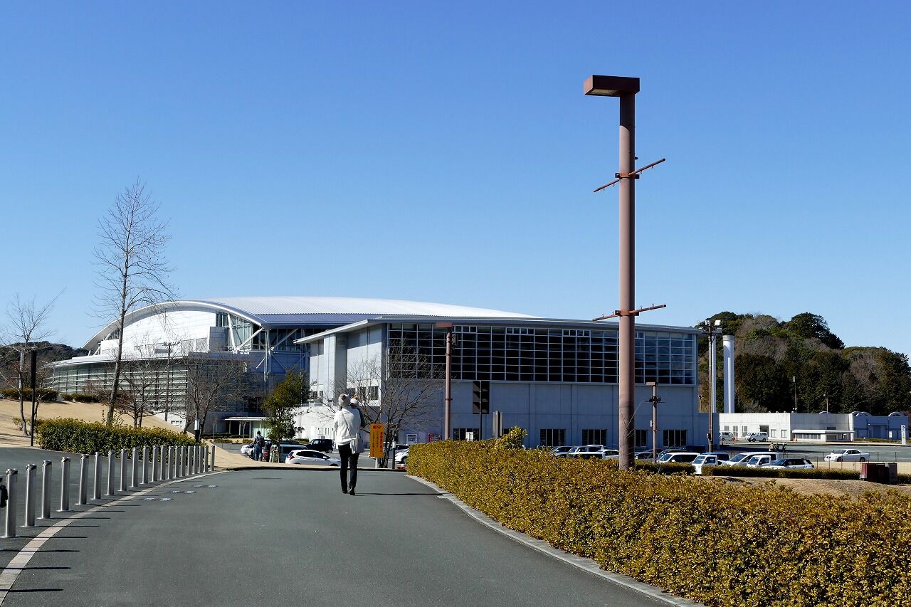 エコパスタジアム周辺を彩るしだれ梅 袋井市 フーちゃんのカメラウオッチング エコパスタジアム周辺を彩るしだれ梅 袋井市 フーちゃんのカメラウオッチング