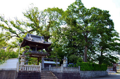 磐田のパワースポット西光寺 フーちゃんのカメラウオッチング 磐田のパワースポット西光寺 フーちゃんのカメラウオッチング