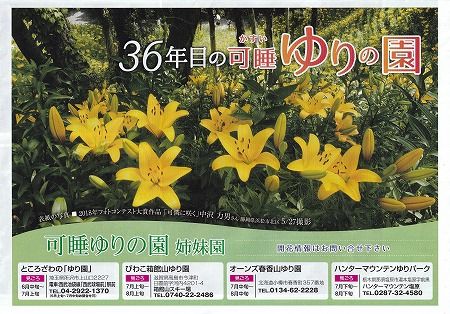 華やかに咲きそろう 可睡ゆりの園 袋井市 フーちゃんのカメラウオッチング 華やかに咲きそろう 可睡ゆりの園 袋井市 フーちゃんのカメラウオッチング