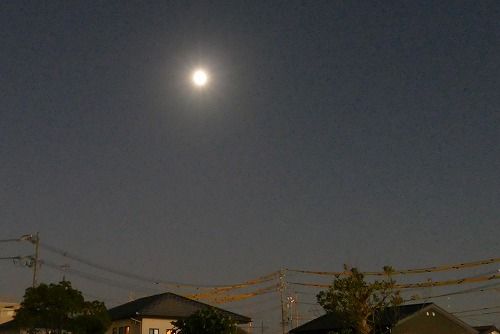 十三夜に曇り無し 素敵なお月見でした フーちゃんのカメラウオッチング
