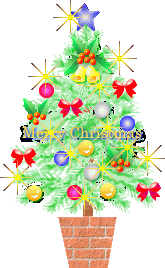 08年12月 フーちゃんのカメラウオッチング