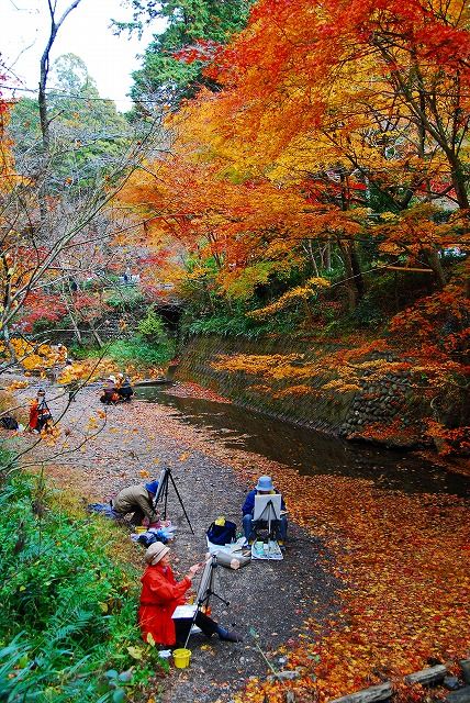 小国神社 大洞院の紅葉 フーちゃんのカメラウオッチング 小国神社 大洞院の紅葉 フーちゃんのカメラウオッチング