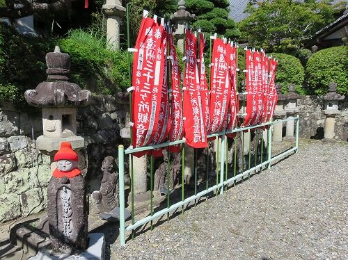 21年07月 フーちゃんのカメラウオッチング