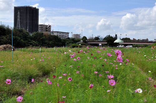 22年10月 フーちゃんのカメラウオッチング