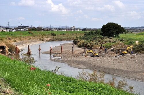 22年10月 フーちゃんのカメラウオッチング