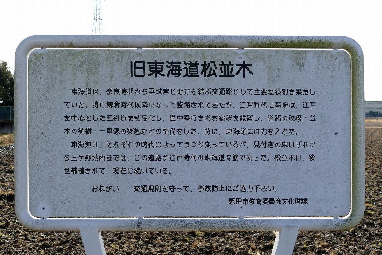 磐田市 三ケ野七つ道 磐田市 フーちゃんのカメラウオッチング 磐田市 三ケ野七つ道 磐田市 フーちゃんのカメラウオッチング