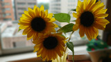 20190702_153736