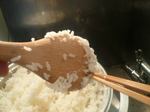 革ジャンとご飯粒 熊本革ｼﾞｬﾝﾛｹﾝﾛｰ Fuckin Shits