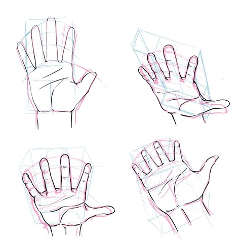 図形的なアタリで描く