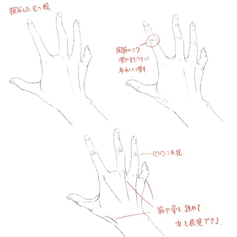 手のシワその2