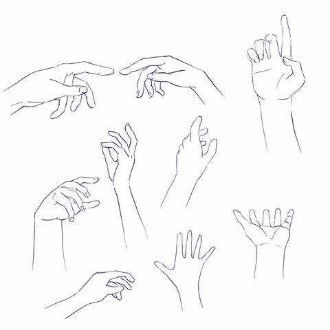 手のイラスト