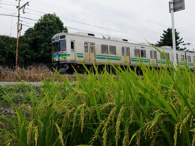 20170922_七草トレイン＠秩父鉄道