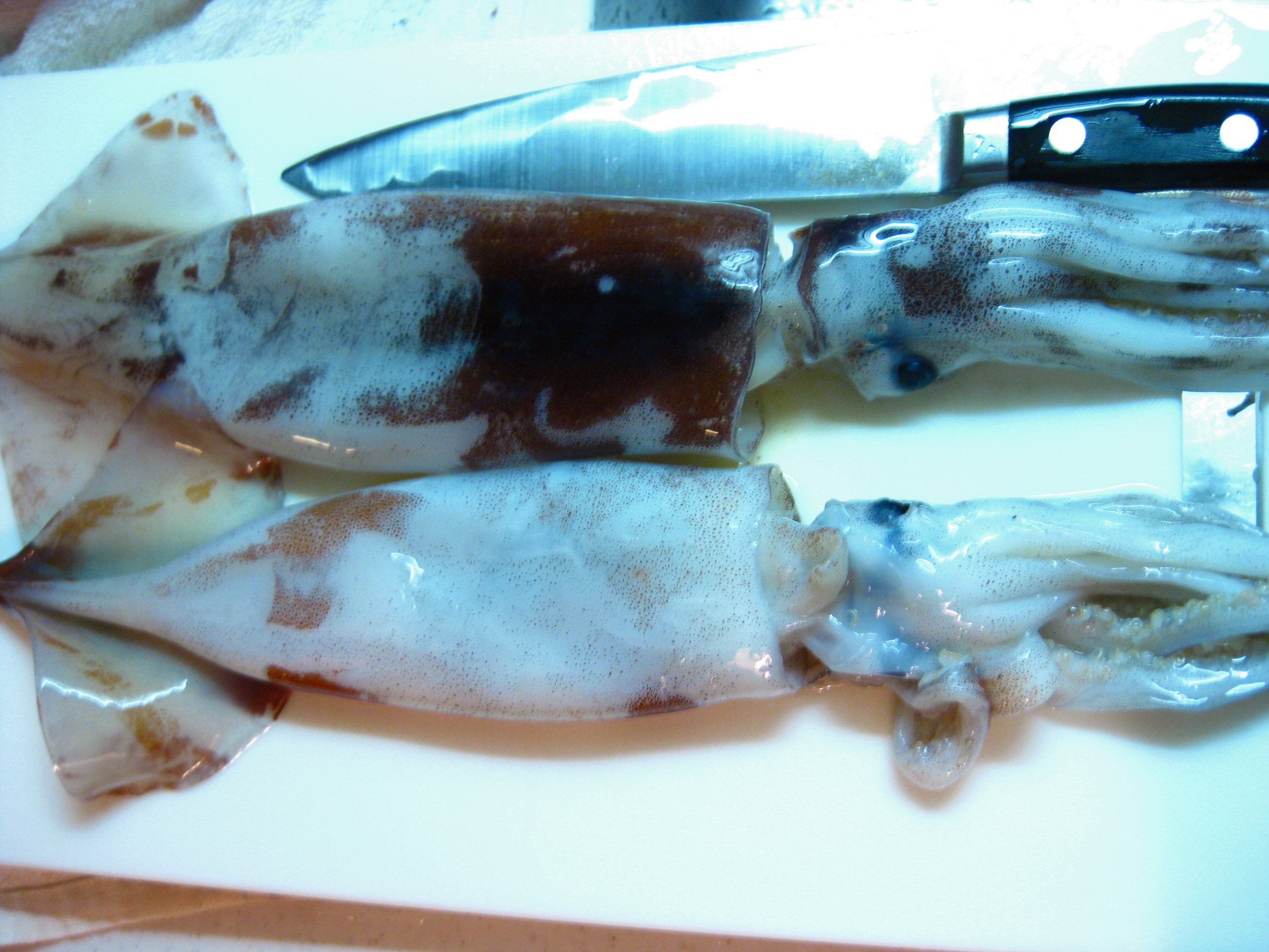 Seafood かつお梅風味香る 彡自家製 いかの塩辛 のんちゃんのお料理レシピ