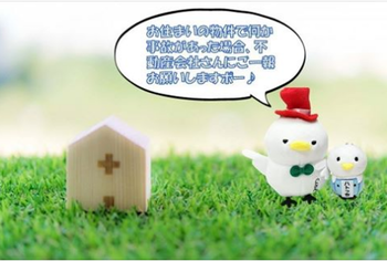 観光客の増加と不動産価値の上昇に見舞われたアップルパーク近くの住宅