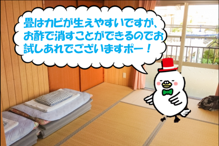 畳にカビが 賃貸物件 消毒用アルコール 須賀川市和田道 有限会社不動産リサーチ 公式サイト