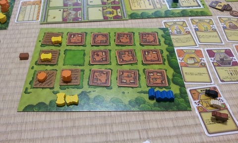 agricola_20130511
