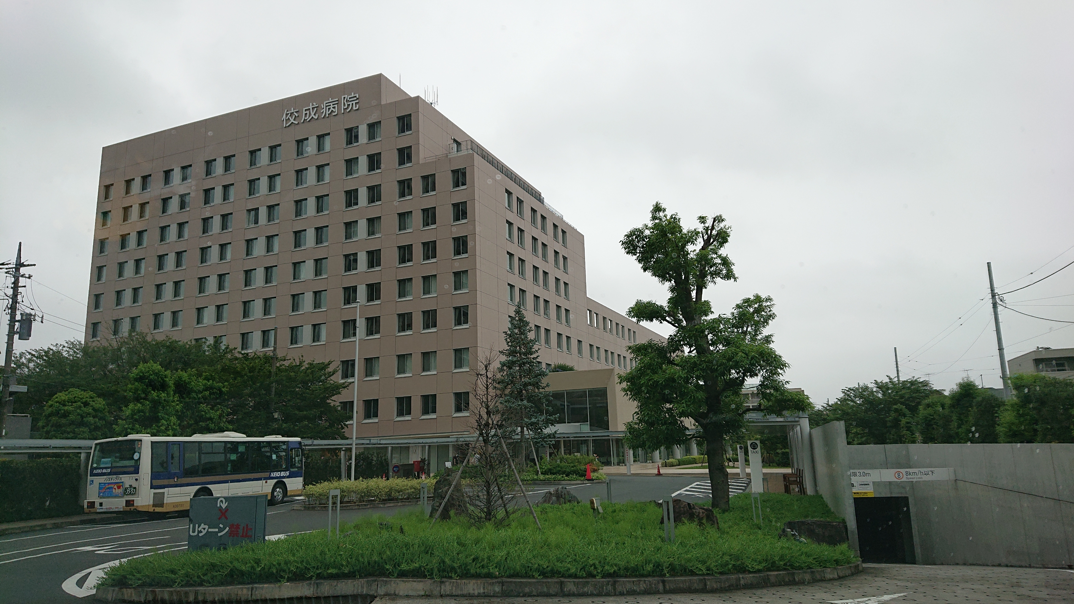 一年ぶりの健康診断 笛吹きの雑記帳